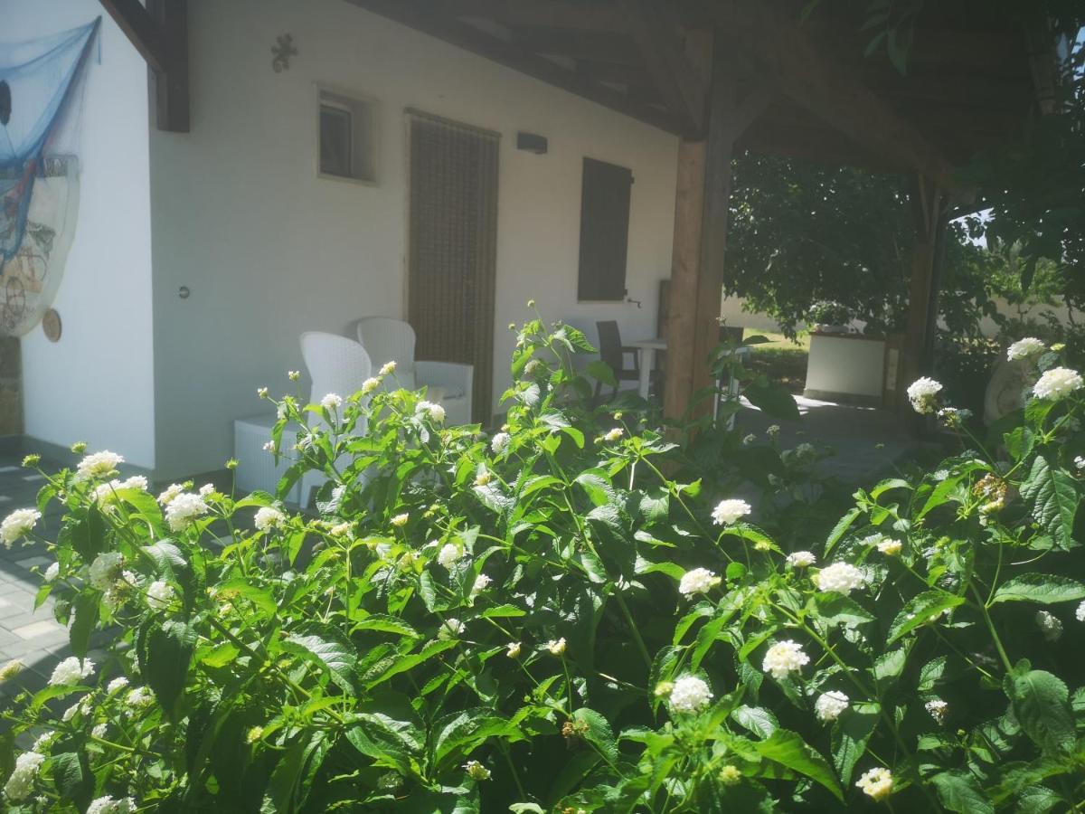 بارابيتا B&B Angolo Magico المظهر الخارجي الصورة